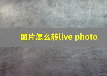 图片怎么转live photo